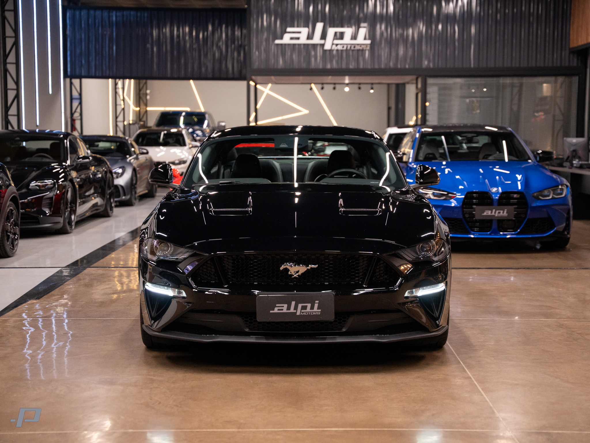 MUSTANG-02