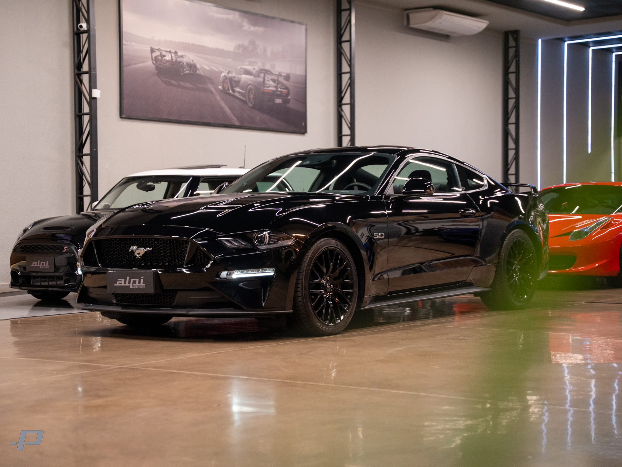 MUSTANG-03