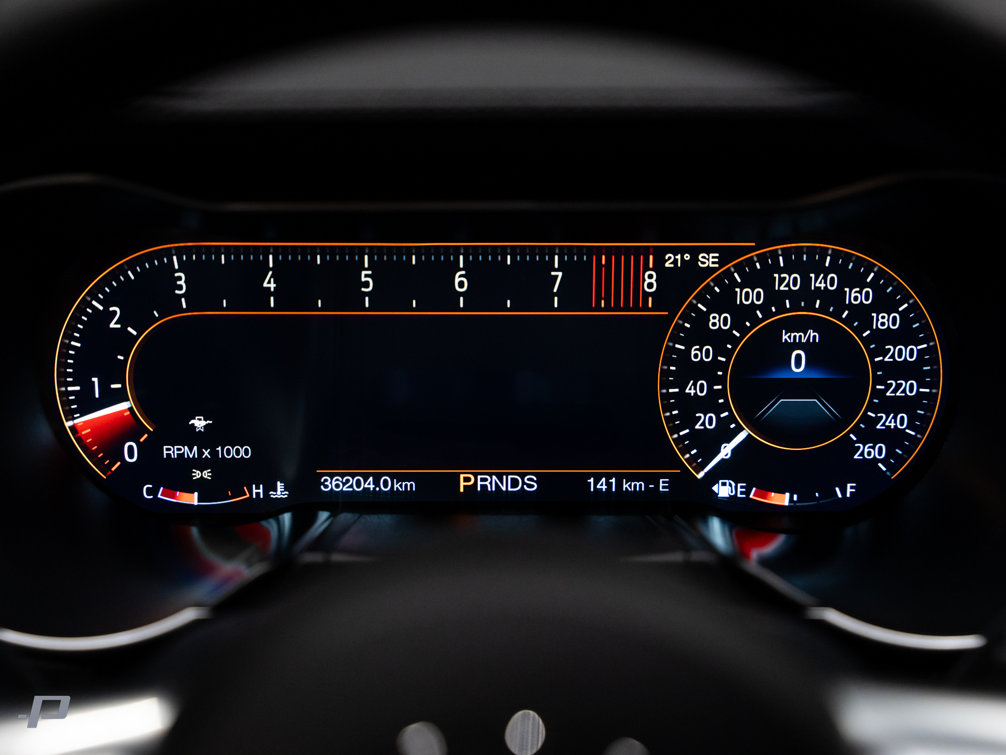 MUSTANG-19