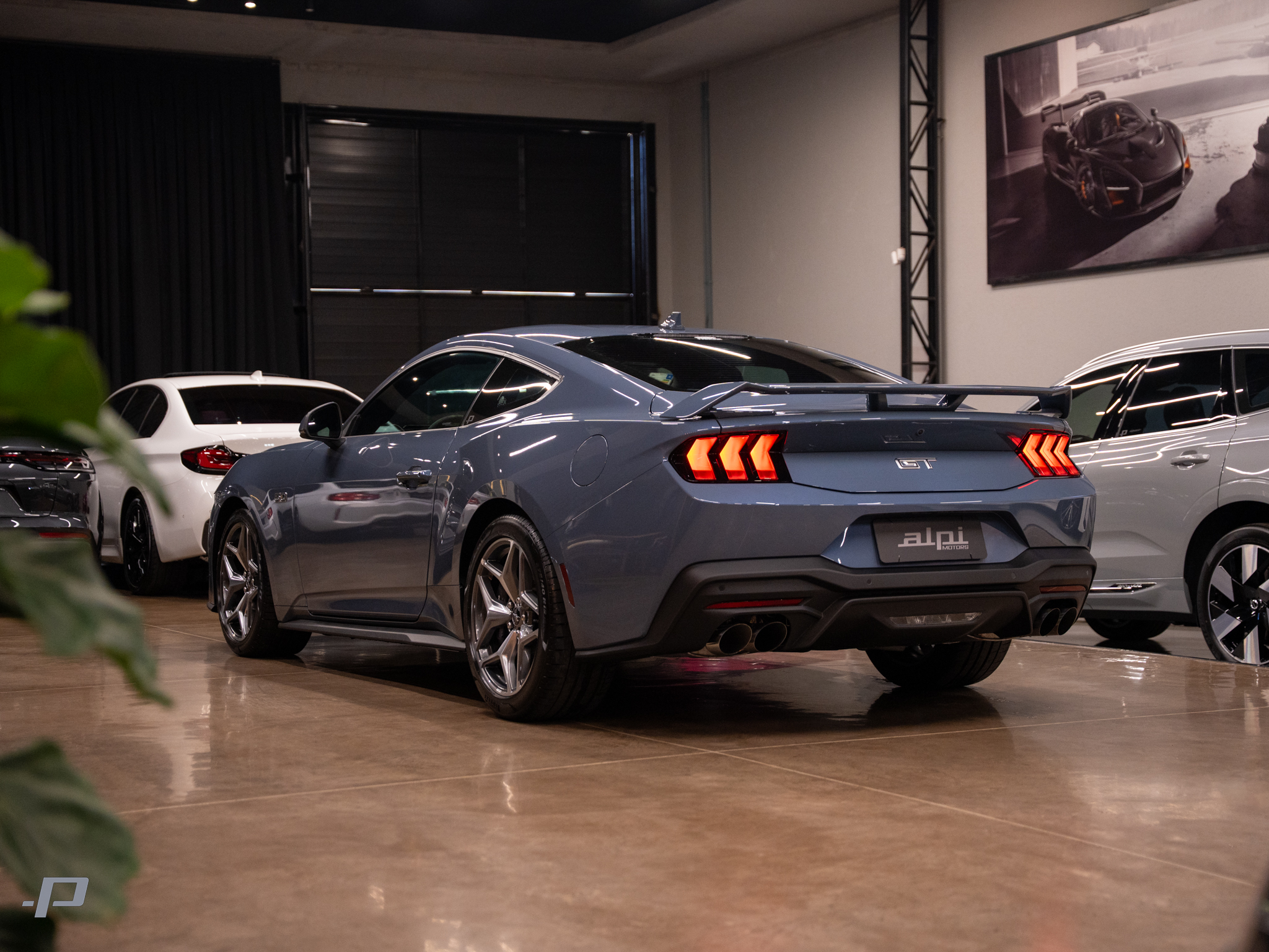 MUSTANG NEW GT-12